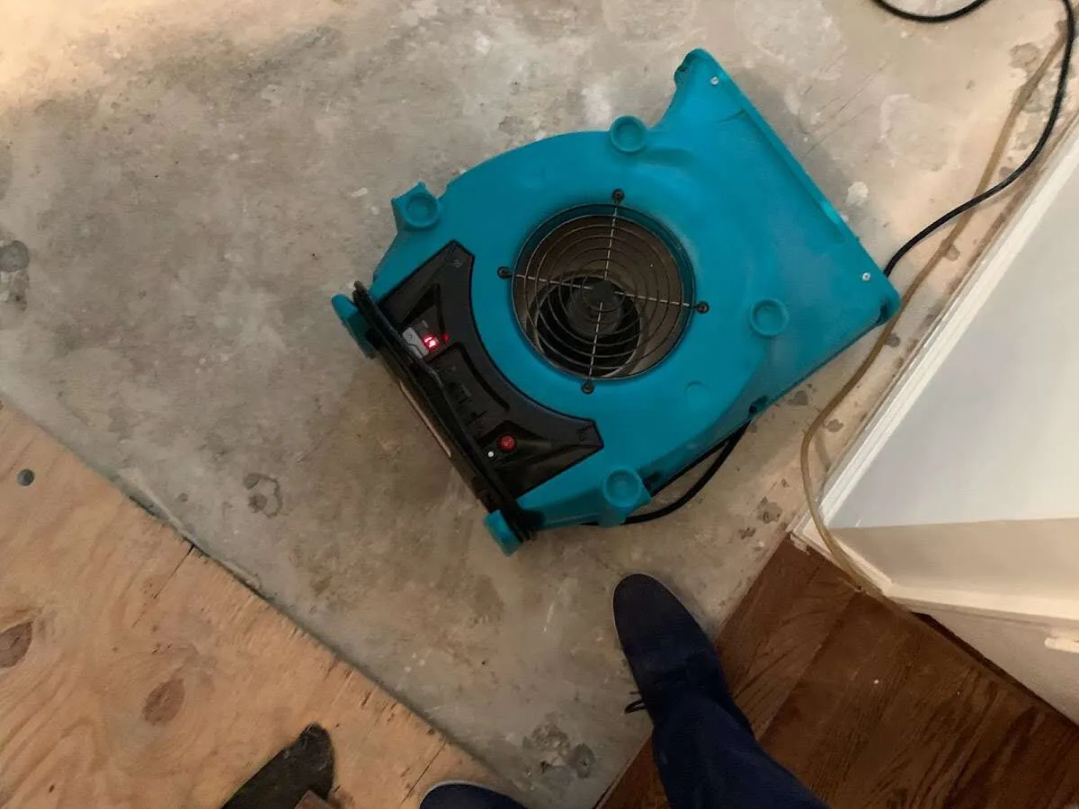 Air mover drying subfloor during Leak Detection & Repair in Raymondville