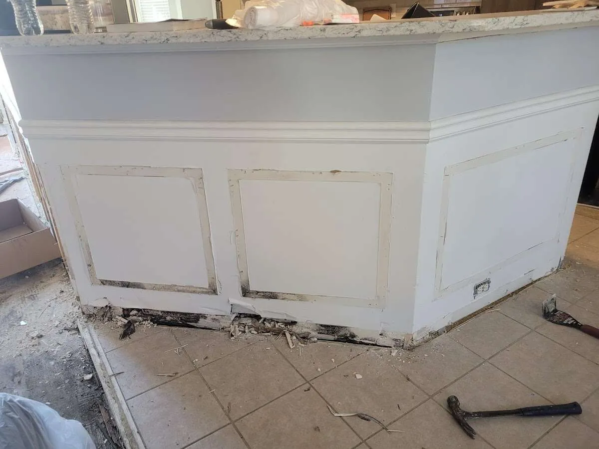 Water damage and mold on kitchen during Mold Inspection & Testing in Raymondville